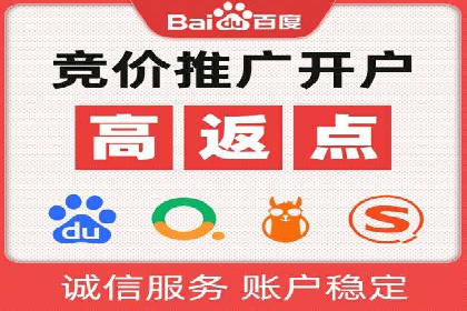 案例分析：百度竞价托管助力行业龙头